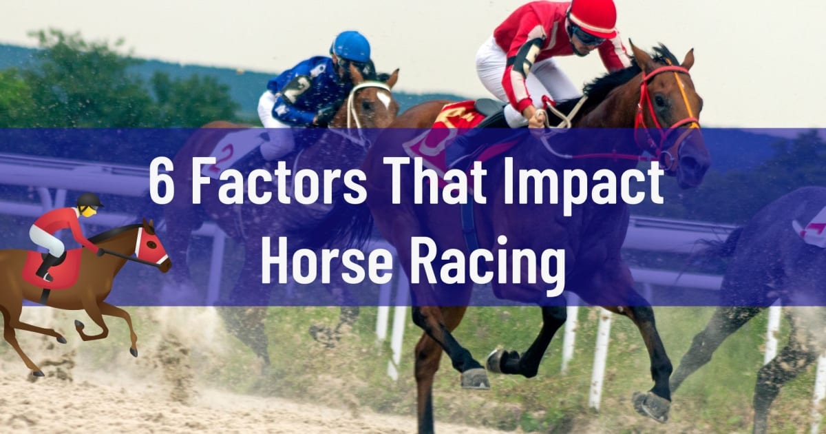 6 čimbenika koji utječu na konjske utrke
